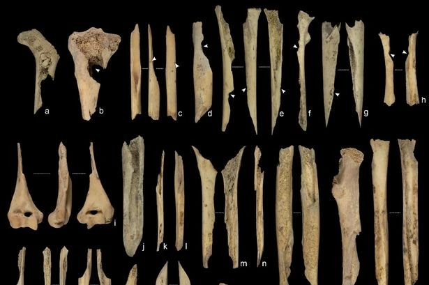 Ancient humans practiced 'child cannibalism' as toddler bones found in 800,000-year-old graves