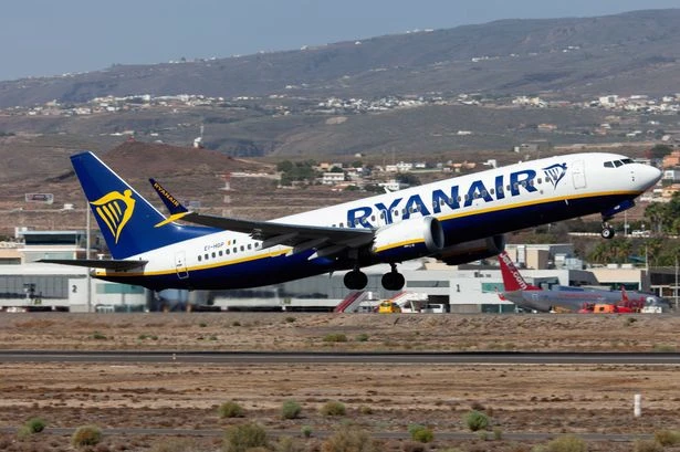 Ryanair told to pay a measly £124 after courts say 'hand luggage should be free'
