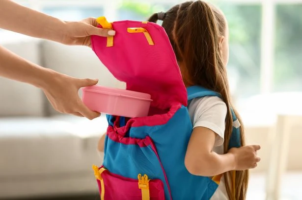 Half of Brits feel under pressure to rustle up Instagram-worthy school lunches