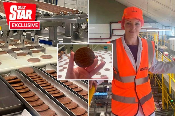'I went to McVitie's factory to see how Britain's favourite biscuit is made'