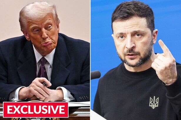 Donald Trump will 'humiliate Zelenskyy before shoving peace deal down his throat'