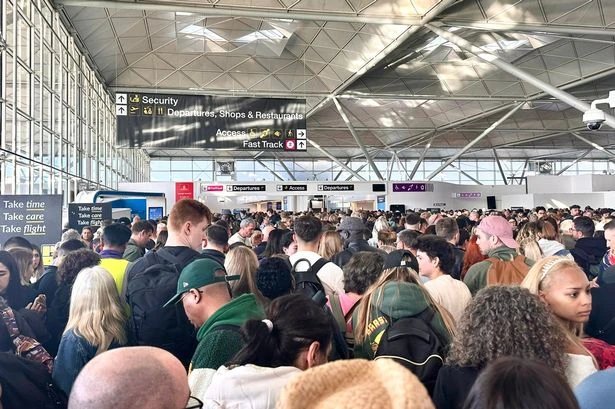 Passengers react as Stansted Airport shares major update on IT glitch 'meltdown'
