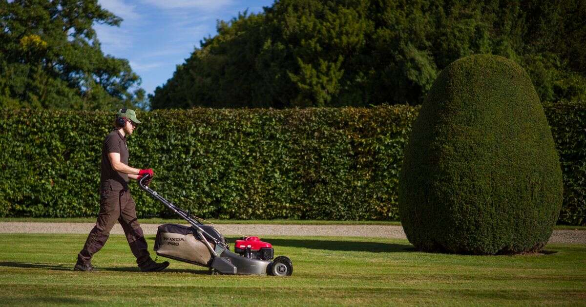 'We spent £14k on garden renovation - with a surprising result'