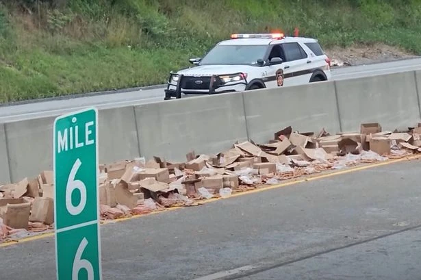 'Wurst' nightmare for commuters after thousands of hot dogs spill on busy highway