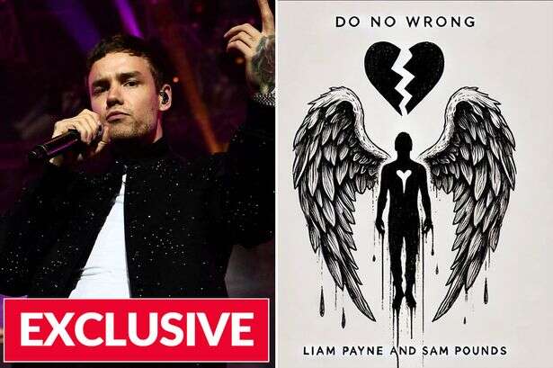 'Hasty' Liam Payne posthumous song release plan was 'heavy misjudgement'