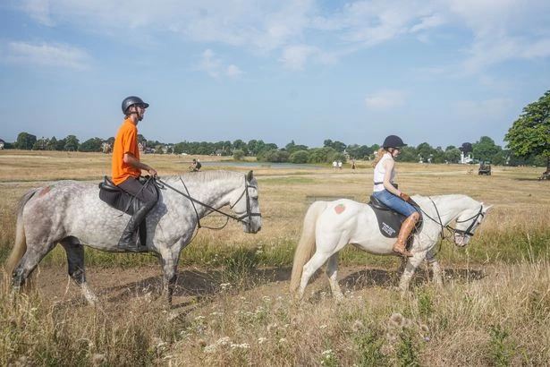 UK heatwave will see temperatures rise again as one region faces month without rain