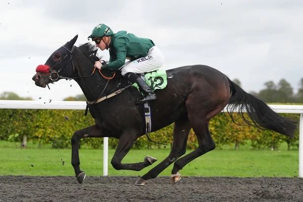 Tyson Fury's horse backed at Chelmsford in Starform racing guide with Redcar and Ayr tips