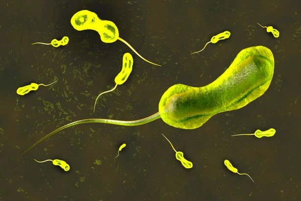 Deadly fresh-eating bug that thrives in heatwaves threatens UK beaches