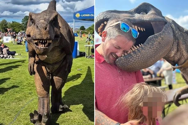 Cruel thieves slammed for nicking two huge dinosaurs from bloke's car boot