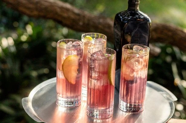 You can now buy a colour changing gin - and it's perfect for Insta-worthy cocktails