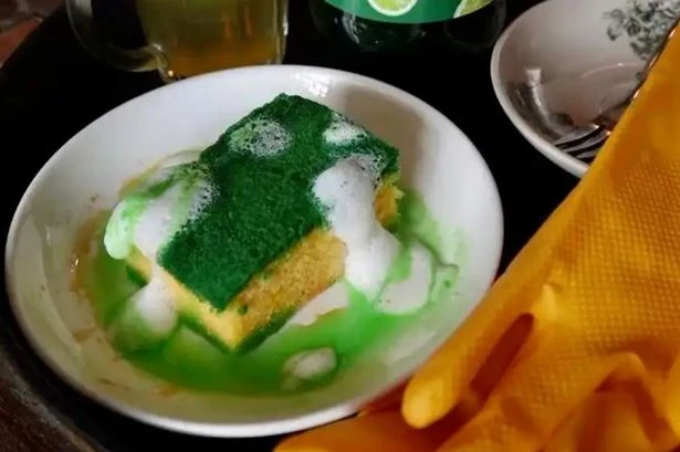 'World's most disgusting pudding' of dish sponges and washing up liquid served up by restaurant