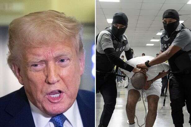 Donald Trump brands 250 gang members 'bad hombres' as they're carted off to 'hell-hole prison'