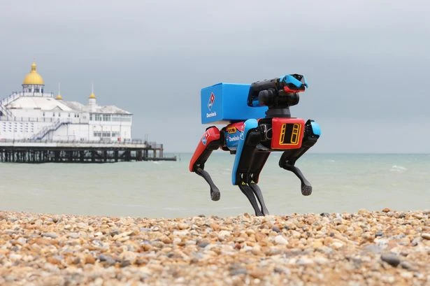Domino's launches robot guard dog 'Domidog' to protect pizza from seagulls