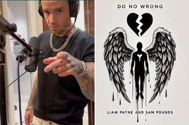 Liam Payne's haunting lyrics about 'falling' revealed in heartbreaking new song