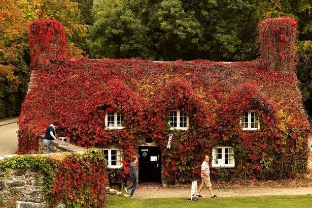 Beano tearoom gets dramatic 'haircut' and locals are shocked at what's beneath