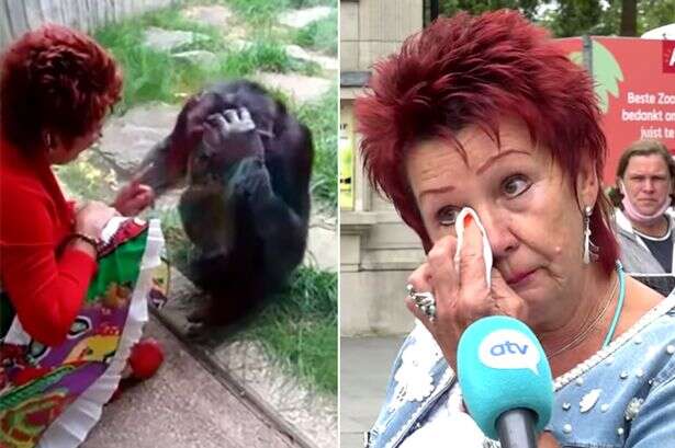 Woman blew kisses to chimp in strange 'love affair' before being banned from zoo