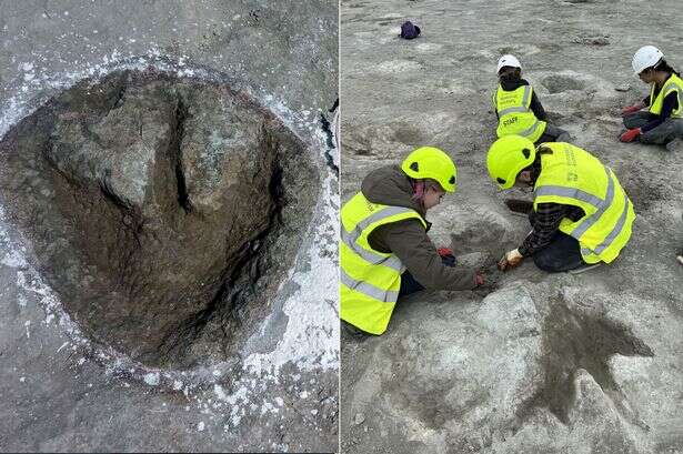 Quarry worker finds longest 'dinosaur highway' in UK as 200 monster footprints unearthed