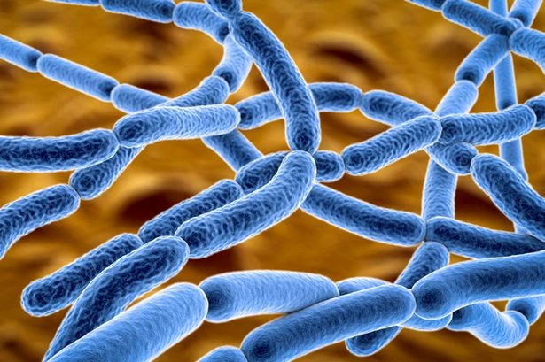 Major anthrax outbreak at holiday hotspot as one dead and four taken to hospital