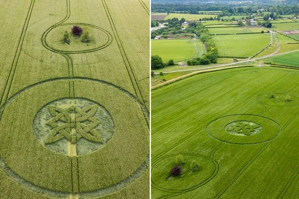 'Celtic' crop circles appear in world-famous UFO hotspot in UK
