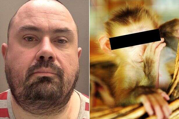 Bloke who 'hated primates' shared sick abuse vids in group called 'Monkey Sauce'