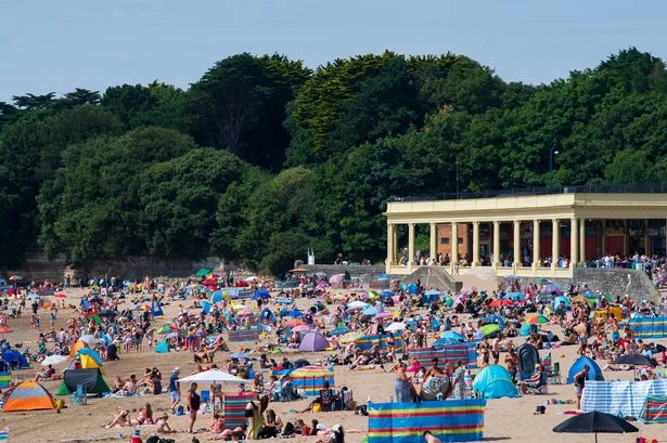Britain’s filthiest beaches revealed is your fav full of plastic waste and dog poo