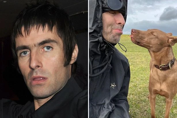 Liam Gallagher taking rescue dog on Oasis tour because he can’t bear to be separated