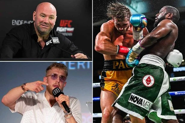 Dana White blasts Jake Paul's 