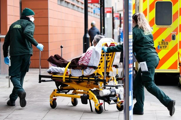 World at 'high risk' of deadly flesh-eating Anthrax virus, claims panicked experts