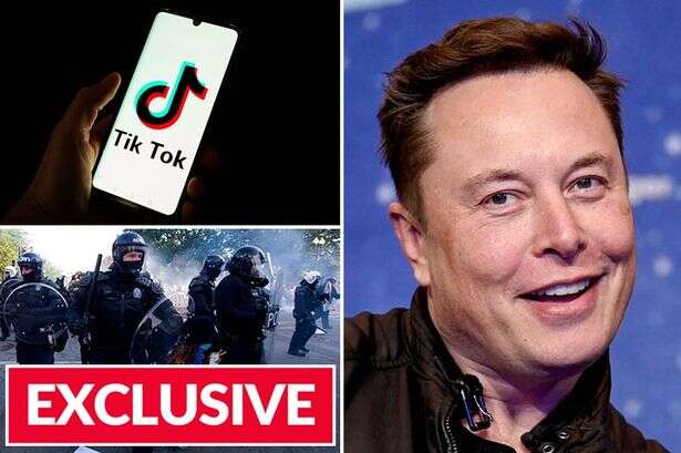 Elon Musk taking over TikTok could lead to 'unparralelled power' and change democracy