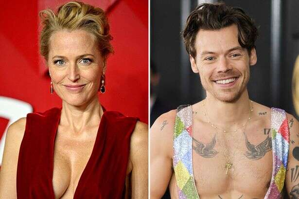 Gillian Anderson's new sexual fantasies book includes kinky letter about Harry Styles