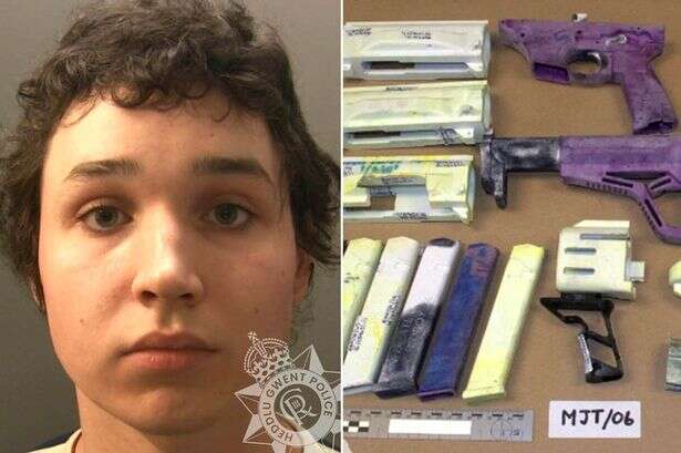 Teen 'nerd' made 'printed gun' from bedroom kitted out with Nazi posters