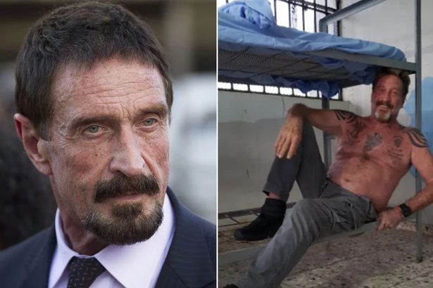 John McAfee claimed US authorities 'wanted to kill him' in bizarre 'suicide' tweet