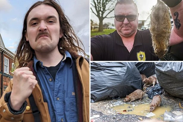 Tell the Daily Star about your massive rat! Send us snaps and we'll whack 'em for free