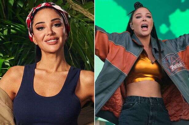 I'm A Celeb's Tulisa says 'you fight or you fall' as she details years of hell