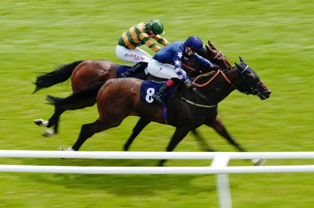'This filly is a monster' – Jason Heavey marks your card with five more to follow