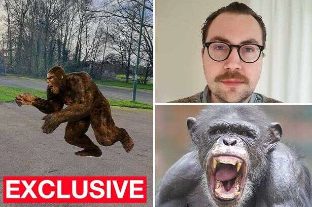 Terrifying '6ft monkey-man' spotted dashing through UK city on all fours – twice