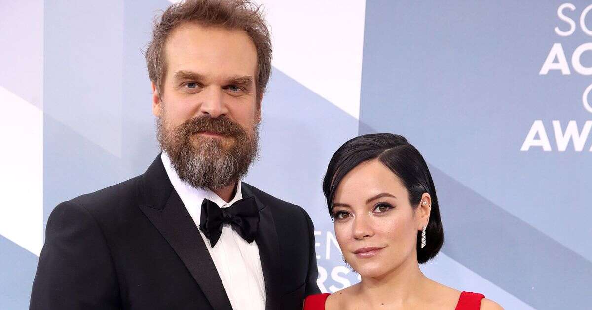 Lily Allen caught David Harbour 'looking for women online' after undercover investigation