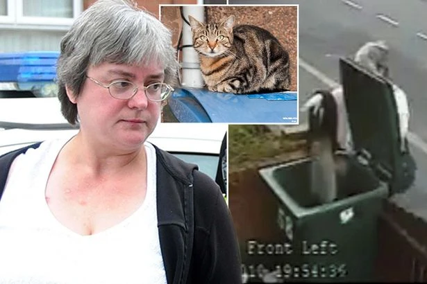 Woman who threw cat in bin 16 years ago living like 'recluse' after online hate