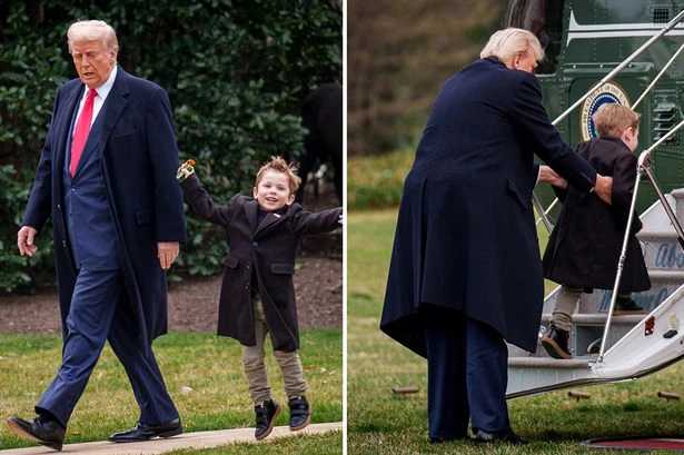 Donald Trump's power questioned as he's branded 'little X’s nanny' after Musk books President babysitter