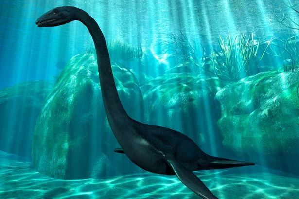 Loch Ness Monster was 'snared by Royal Navy during WW2', hidden letters reveal