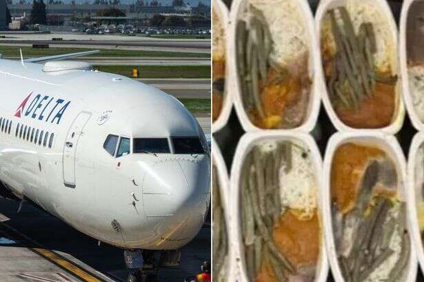 Major airline shuts down in-flight food service after 'mouldy chicken' grounds plane