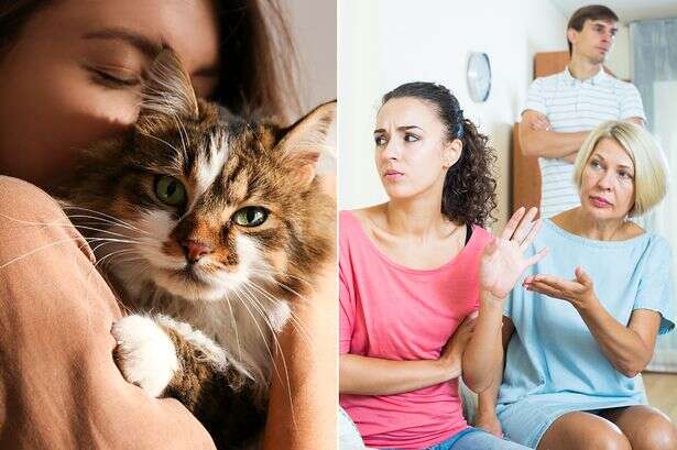 Brits would save their pets before the in-laws if aliens ever invaded the UK