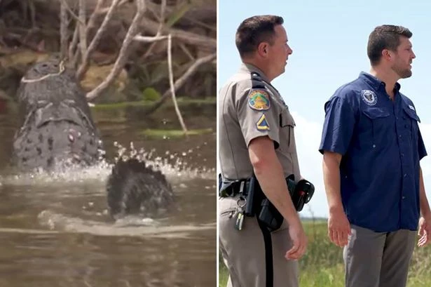 Florida pitches mad 'Alligator Alcatraz' prison surrounded by killer beasts to Donald Trump