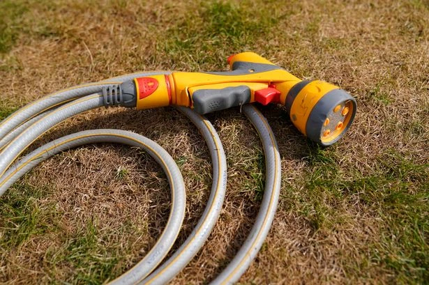 Hosepipe ban declared in part of the UK after heatwave and it could last until Christmas