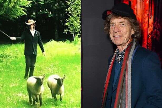 Rolling Stones rockstar Mick Jagger finds his satisfaction - by adopting sheep