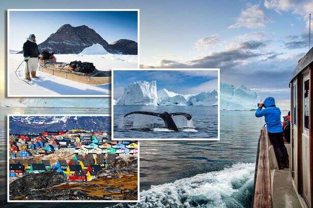 Brits are being begged to visit Greenland where they can feast on fermented whale meat in -50C weather