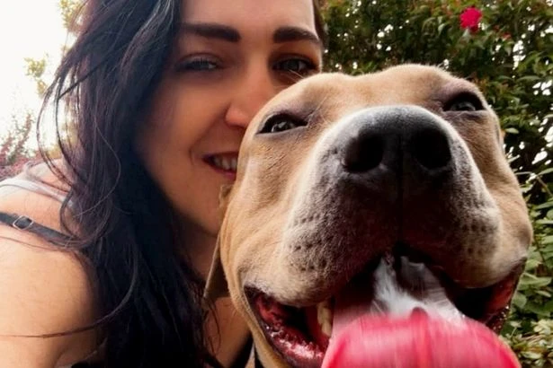Woman seriously hurt in attack by dog she found on Facebook three weeks ago
