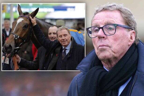 Harry Redknapp buys Cheltenham horse behind wife's back because of spooky omen