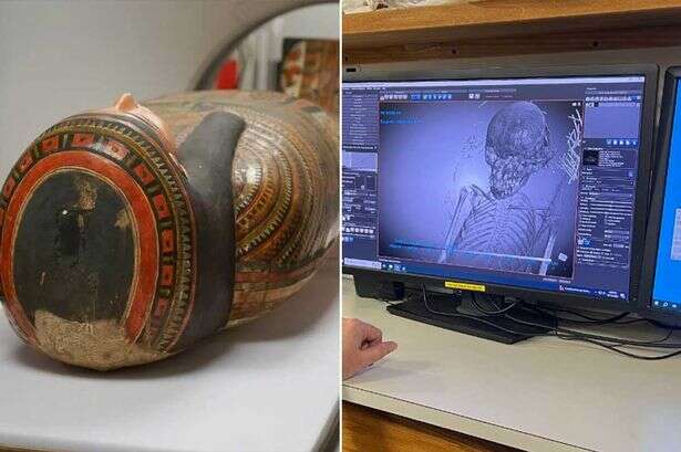 Scientists take a look inside mummy in major archaeological breach of privacy