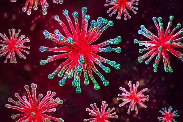 'Final Boss' cure for Covid could finally be here as 99% of infections stopped
